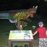 Noc Dinozaurów 2019, 14.08.2019 r (62)