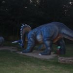 Noc Dinozaurów 2019, 14.08.2019 r (63)