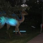 Noc Dinozaurów 2019, 14.08.2019 r (64)
