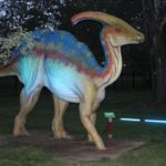 Noc Dinozaurów 2019, 14.08.2019 r (65)