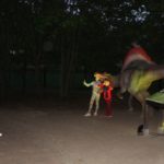 Noc Dinozaurów 2019, 14.08.2019 r (72)