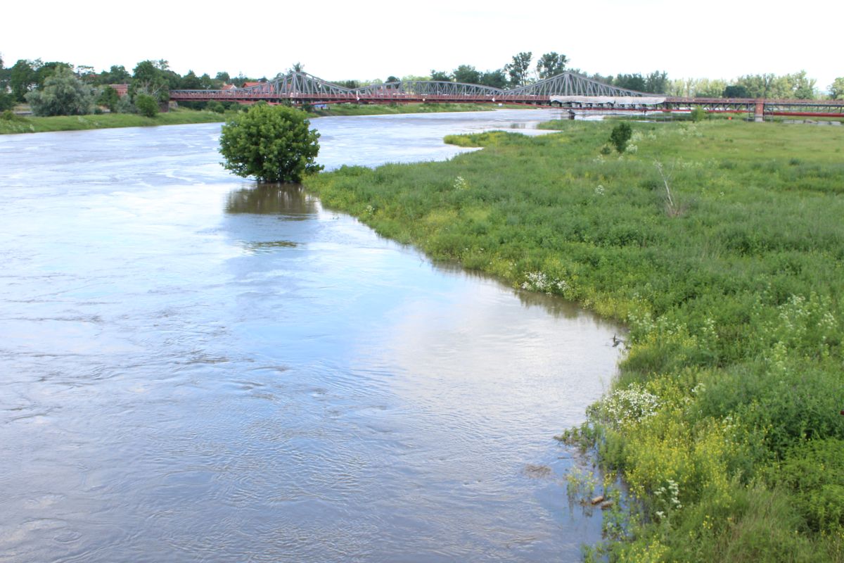 Odra może wezbrać. Drugi stopień zagrożenia hydrologicznego!