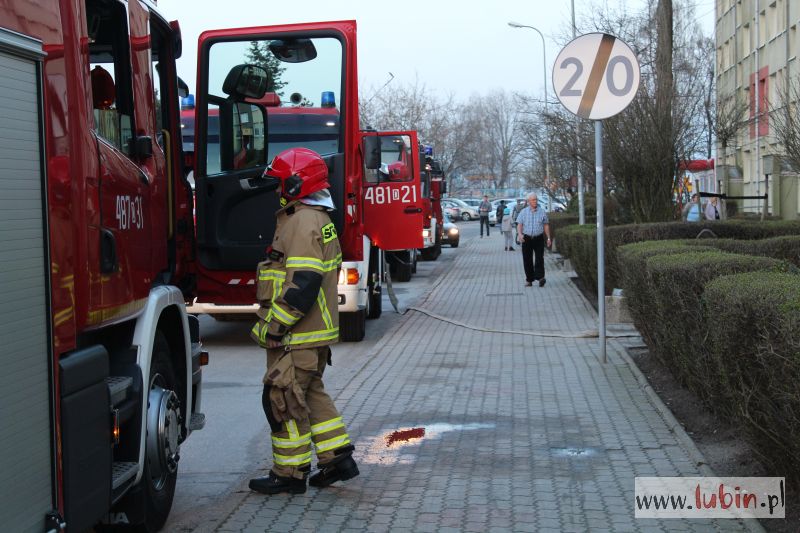 Wozy strażackie na Pawiej