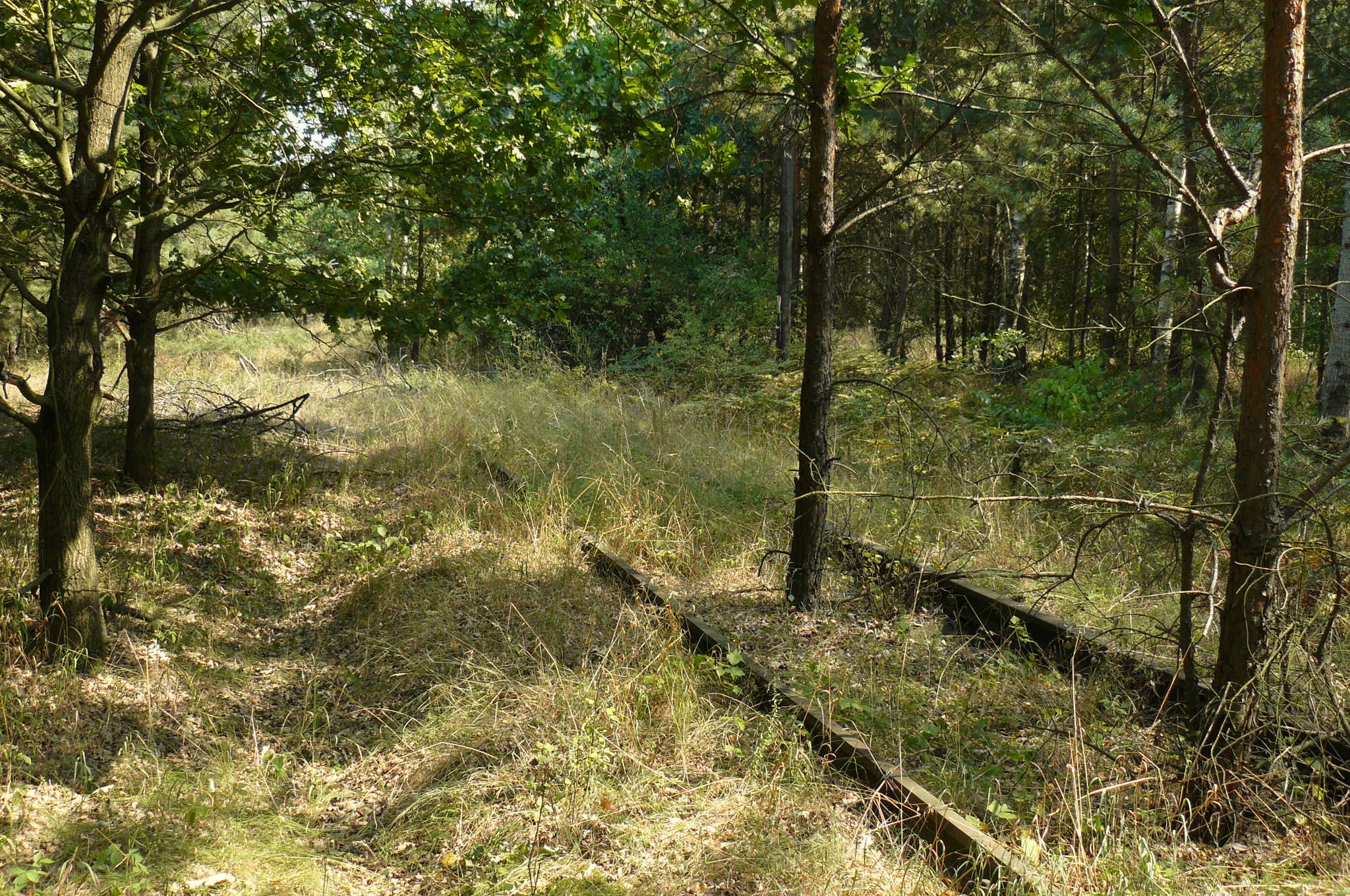 Rowerem wzdłuż gazociągu