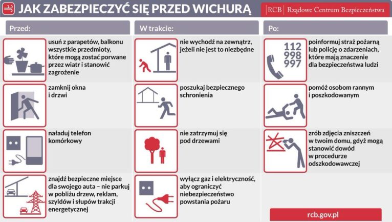 wichura-infografika