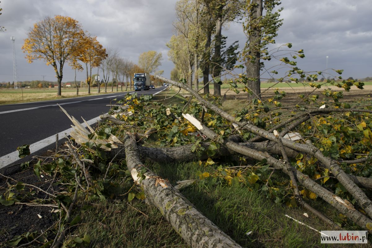 Synoptycy znów ostrzegają przed silnym wiatrem