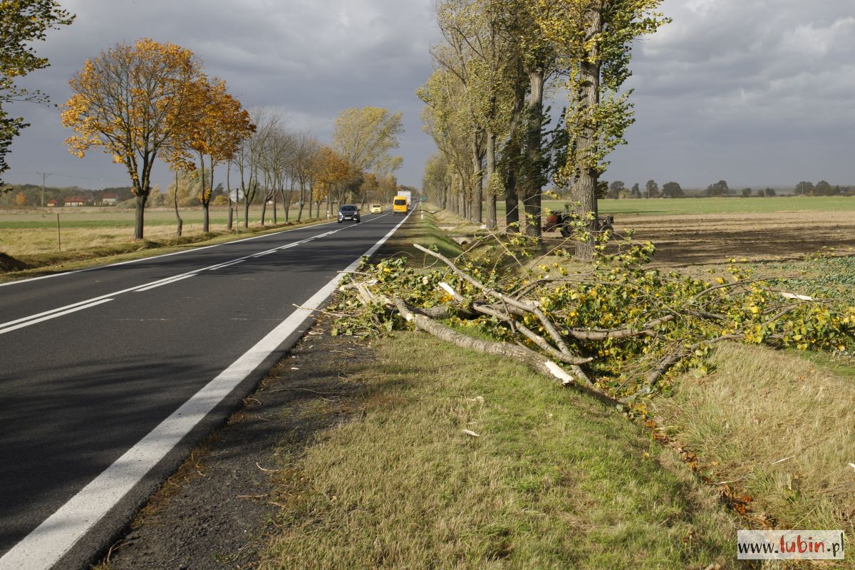 Uwaga! Kolejne ostrzeżenie przed silnym wiatrem