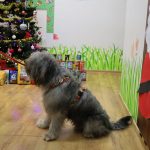 Zielone Przedszkole, TOZ (3)