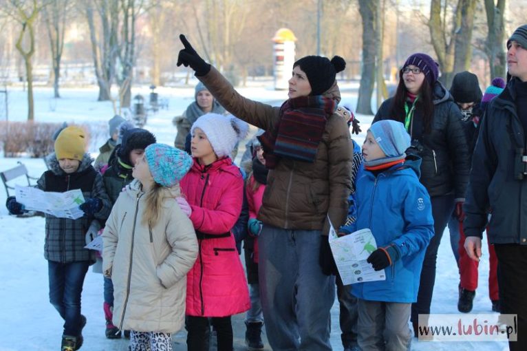 Zimowe Ptakoliczenie, 2017 (19)