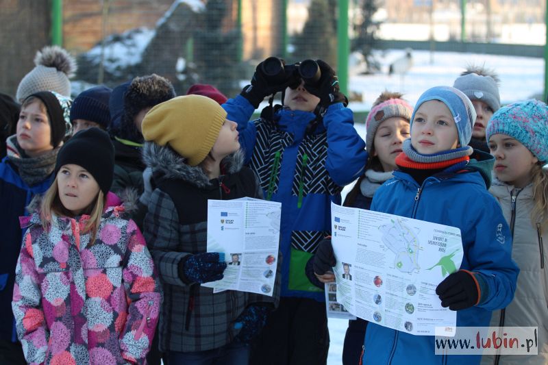 Liczą ptaki w parku Wrocławskim