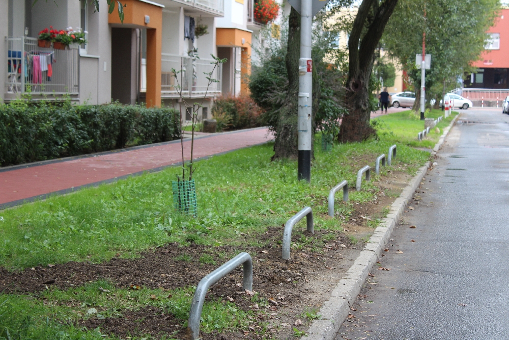 Barierki sposobem na kierowców