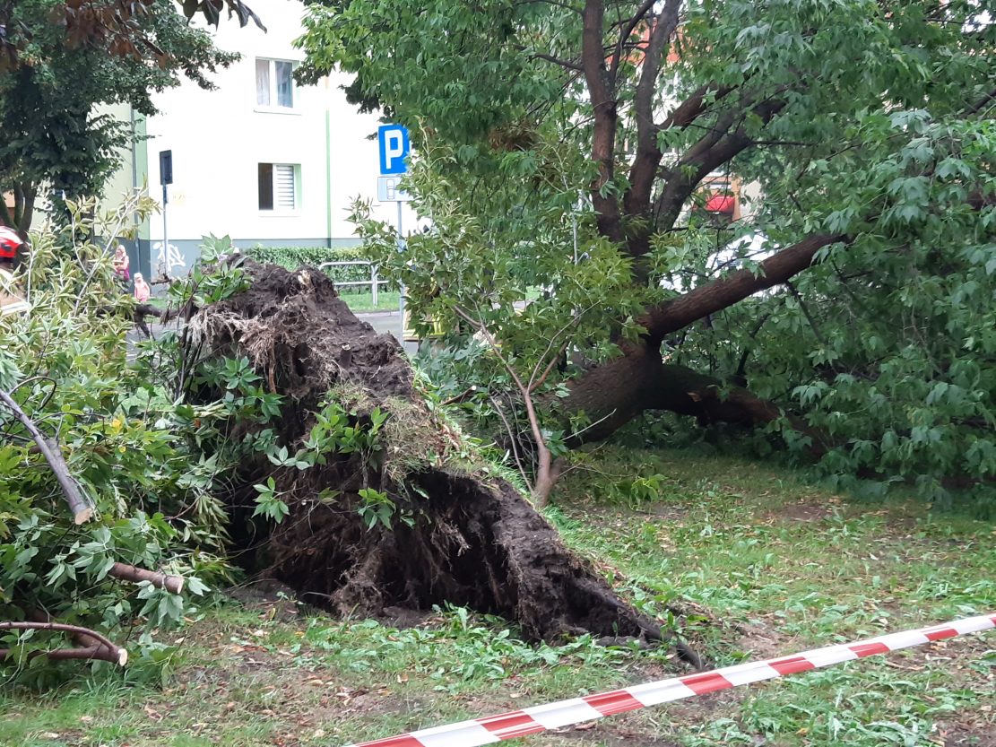 Polacy coraz bardziej obawiają się gwałtownych zjawisk pogodowych