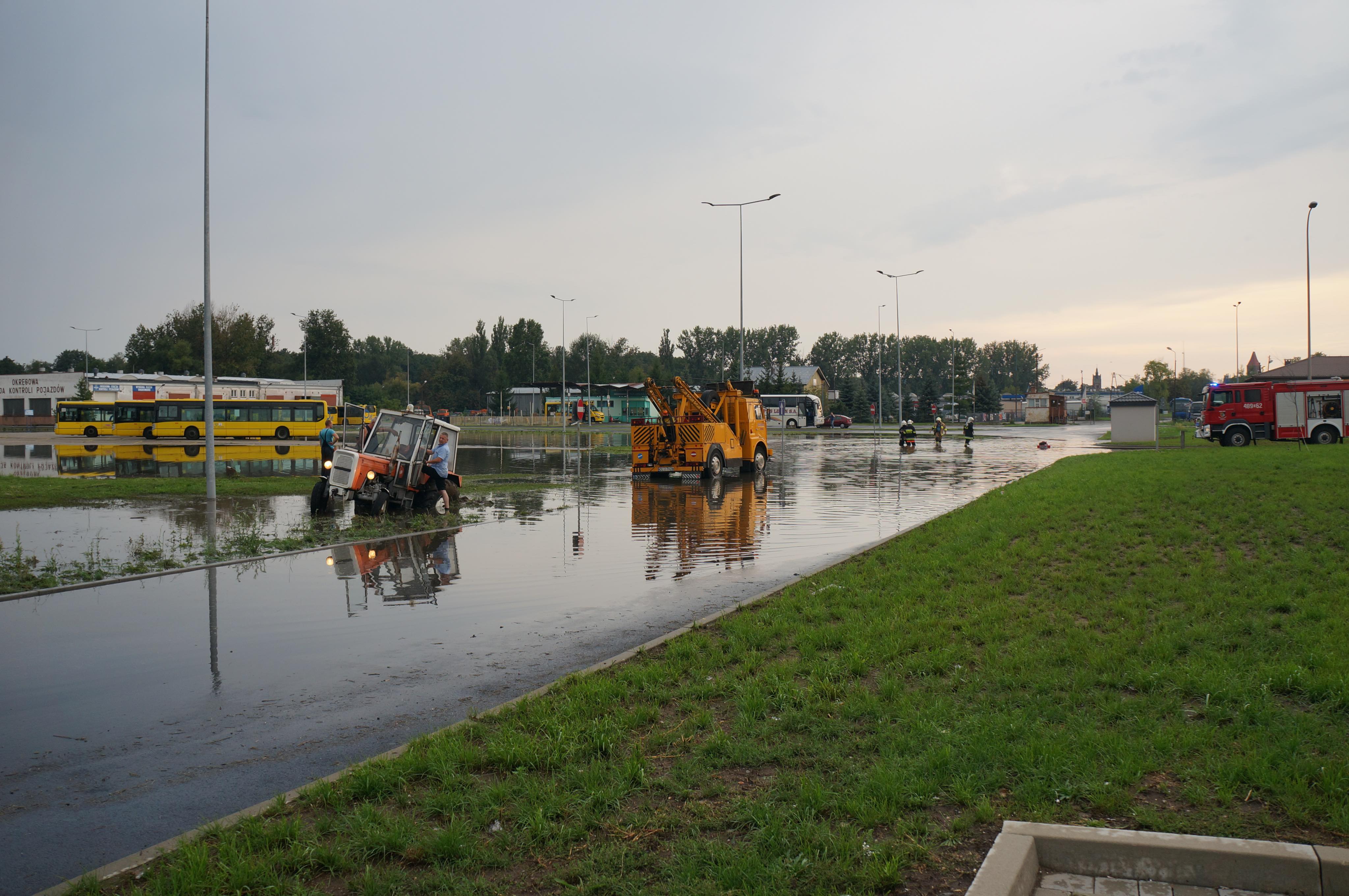 burza, 2019 (5)