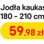 castorama baner 10.12