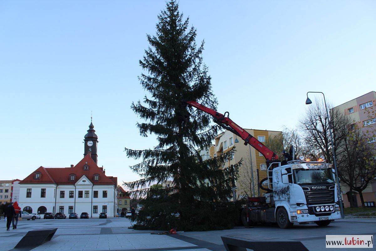 Rynek stroi się na święta – na początek 15-metrowa choinka