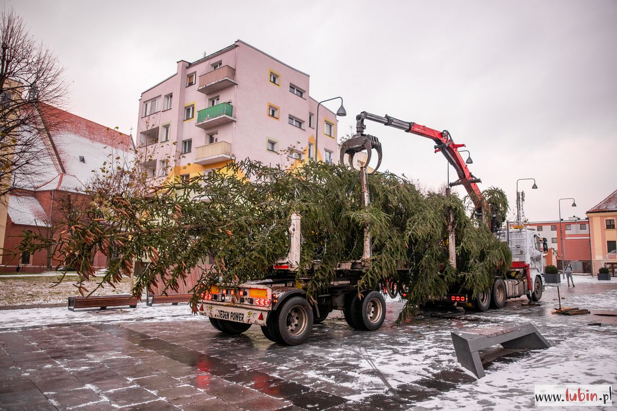 Rynek znowu zdobi kilkunastometrowa choinka