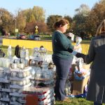 chryzantemy, kwiaty na błoniach, 29.10 (38)