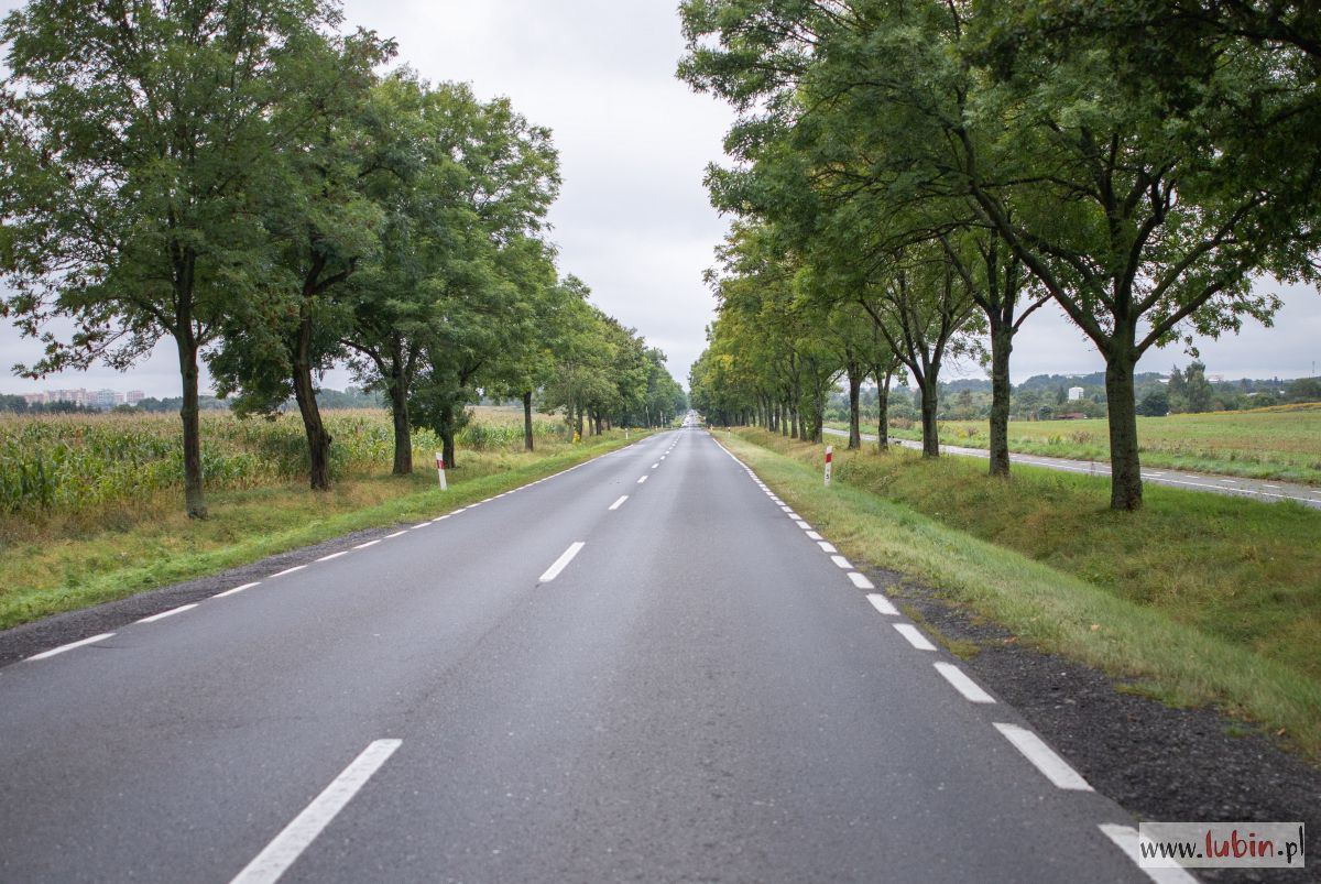 Ruszają prace nad ścieżką rowerową z Lubina do Ścinawy