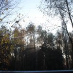 droga na rynarcice, wypadek (37)