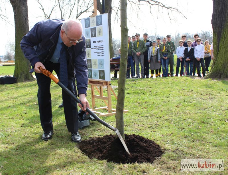 Każde drzewo to inna osoba