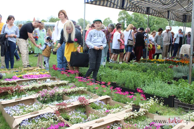 Festiwal Kwiatów i Roślin już wkrótce