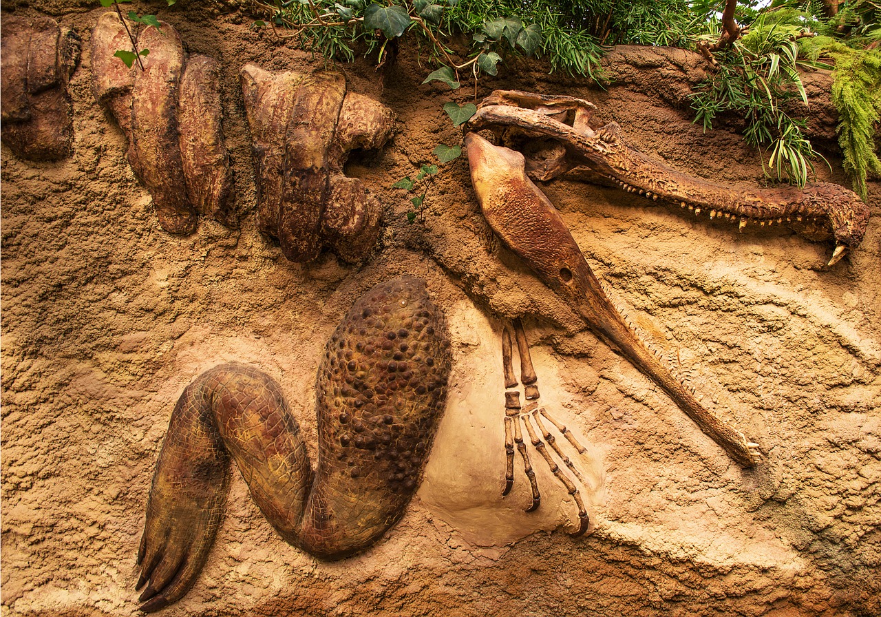 Nowe technologie przyspieszają odkrycia w paleontologii