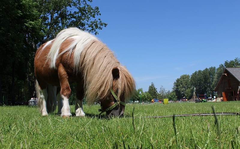 Sfotografuj park, wygraj nagrody