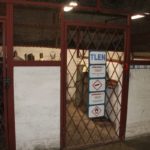 kopalnia, kghm, wizyta studyjna, szyb św. jakuba, polkowice-sieroszowice, sierpol, 2410 (55)