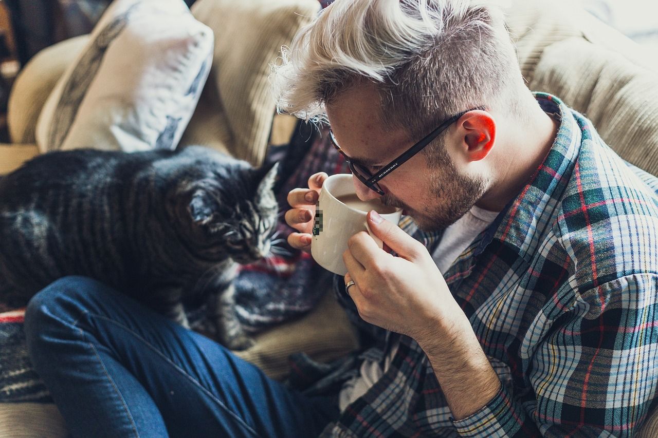 Kawa w asyście kotów