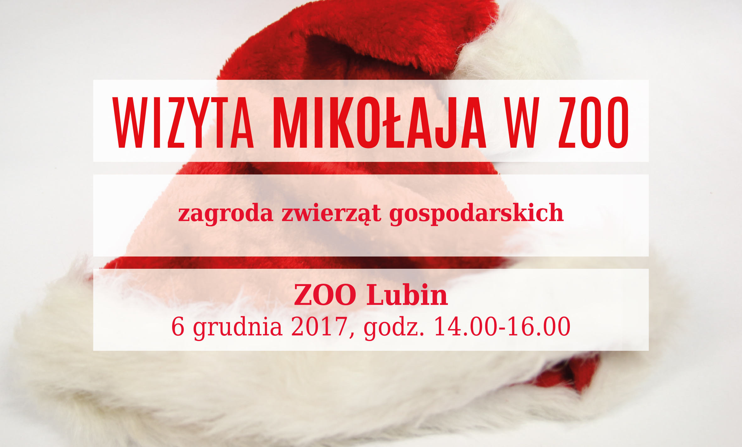 Mikołaj w lubińskim zoo