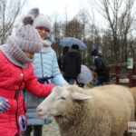 mikołajki zoo park wrocławski zwierzęta005