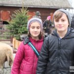 mikołajki zoo park wrocławski zwierzęta019