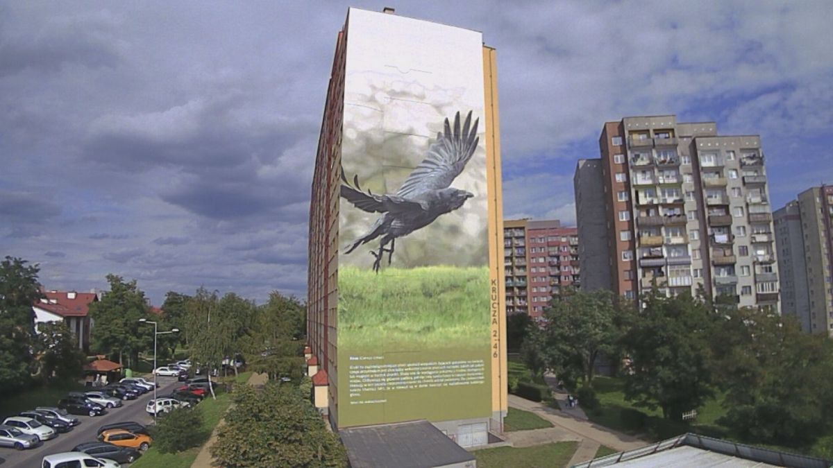 Dwa murale już gotowe, będzie jeszcze jeden