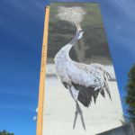 mural, żuraw, Żurawia (1)
