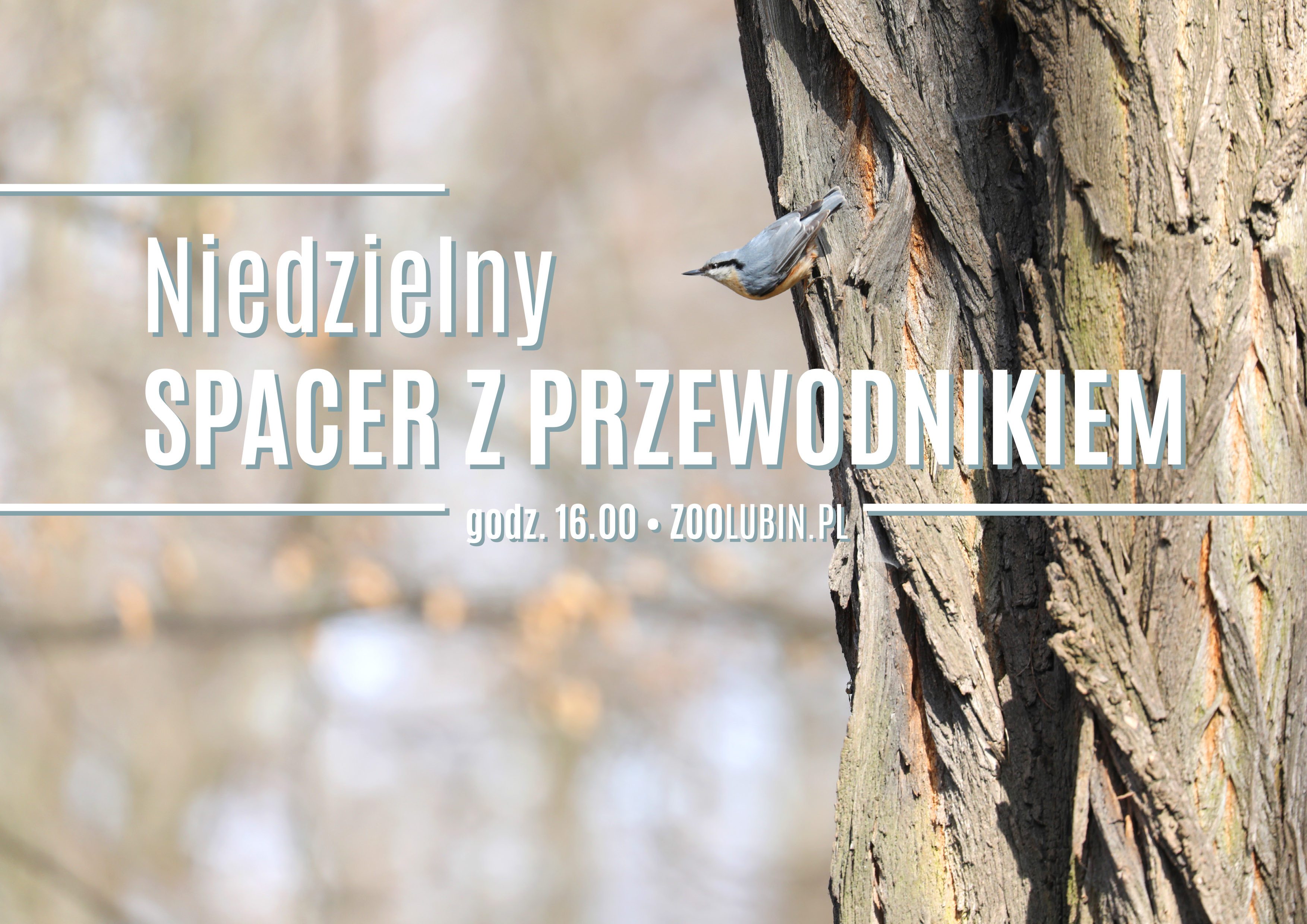 Zapraszają na spacer z przewodnikiem