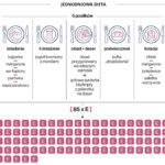 nik-dodatki-do-zywnosci-4-jedniodniowa-dieta