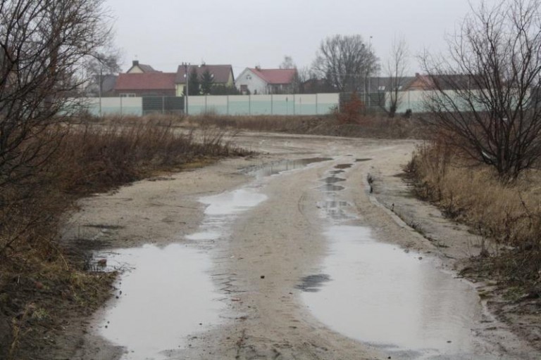 Szybciej już wiosną