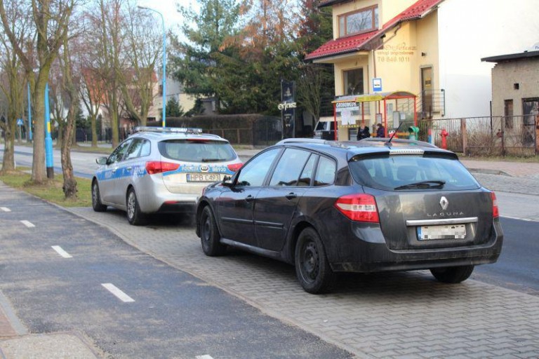Lubinianin potrącony na pasach
