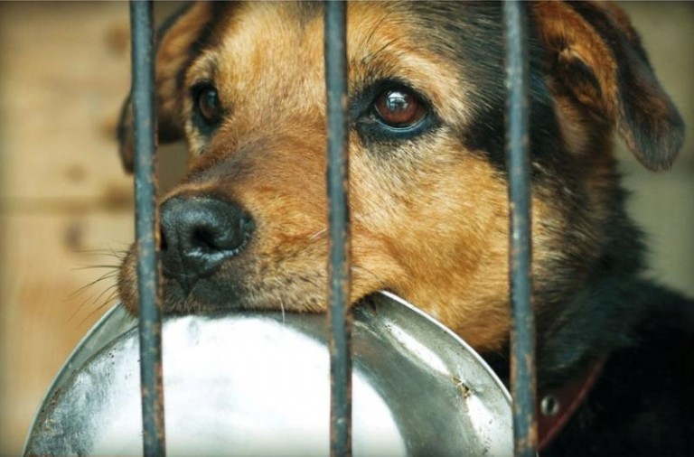 Z Tesco dajmy im przeżyć zimę