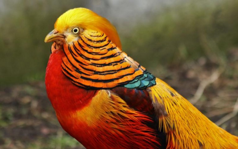 Mnóstwo atrakcji na powitanie wiosny