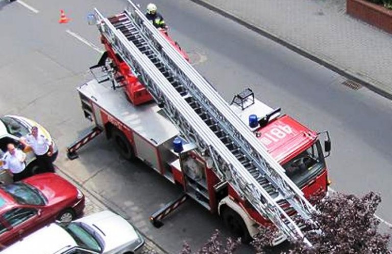 Przez osy bali się wyjść z domów