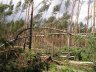 Przez nasz region ponownie przechodzi fala silnych wiatrów