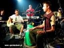Punk rock na scenie Klubu Pod Muzami