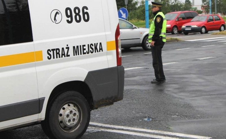 Strażnicy z radarami na drogach