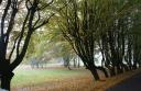 Park Solidarności pięknieje