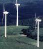 Energetyka inwestuje w siłownie wiatrowe