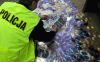 Lubinianin rozpowszechniał materiały z pornografią dziecięcą?