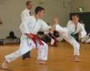 Mistrzowie karate w Lubinie!