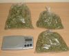 Marihuana w majtkach