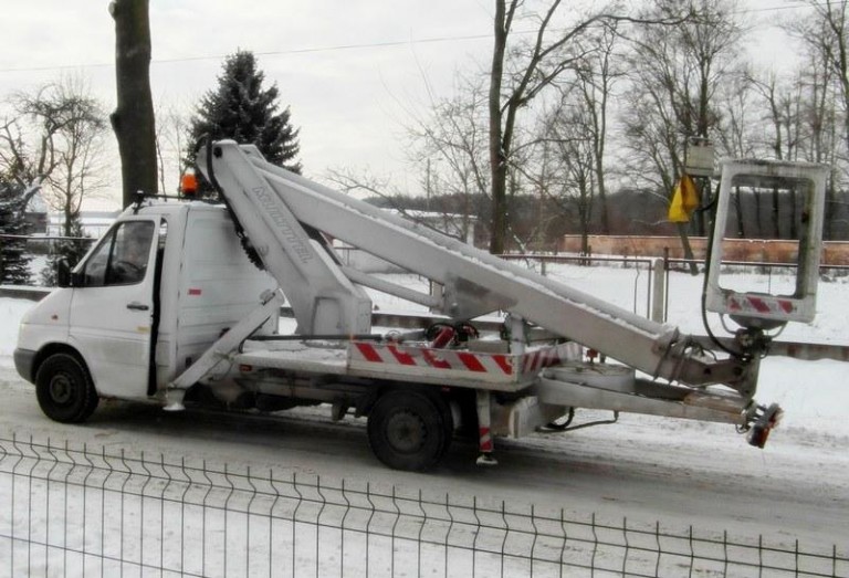 Jedne wycięli, inne poznaczyli